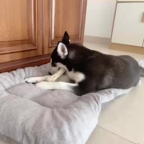 Reversible Dog Bed Mat – Large Dual-Sided Sofa for Medium & Large Breeds