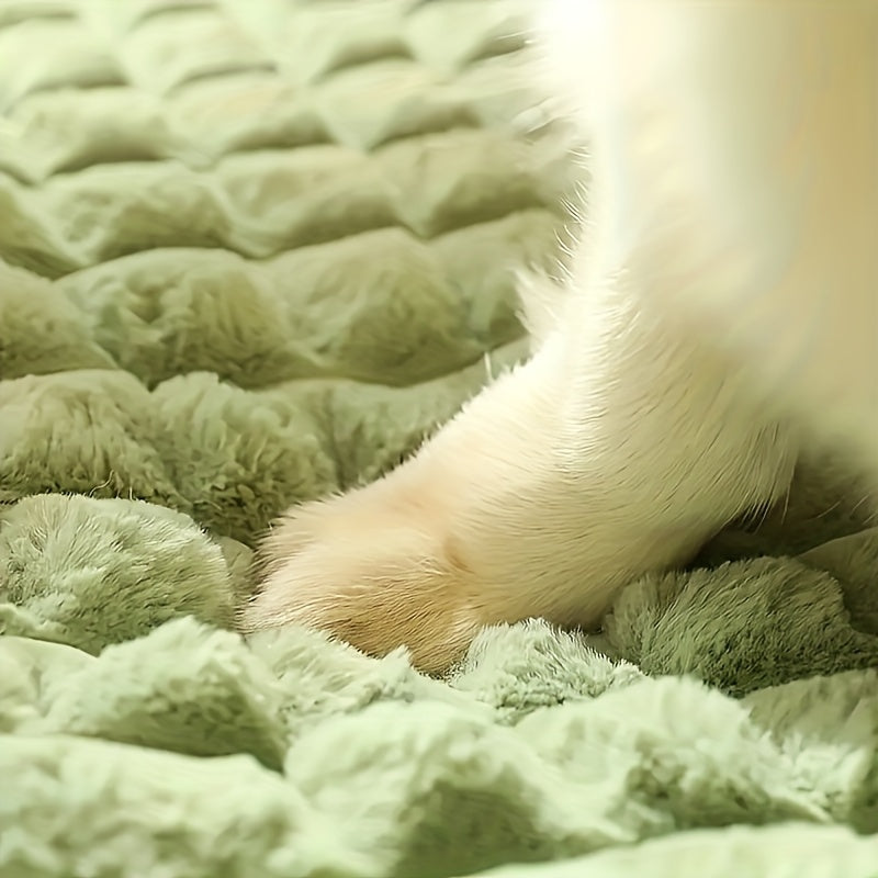 Large Orthopedic Dog Bed with Memory Foam Washable Cover, Non-Slip Base - All Seasons