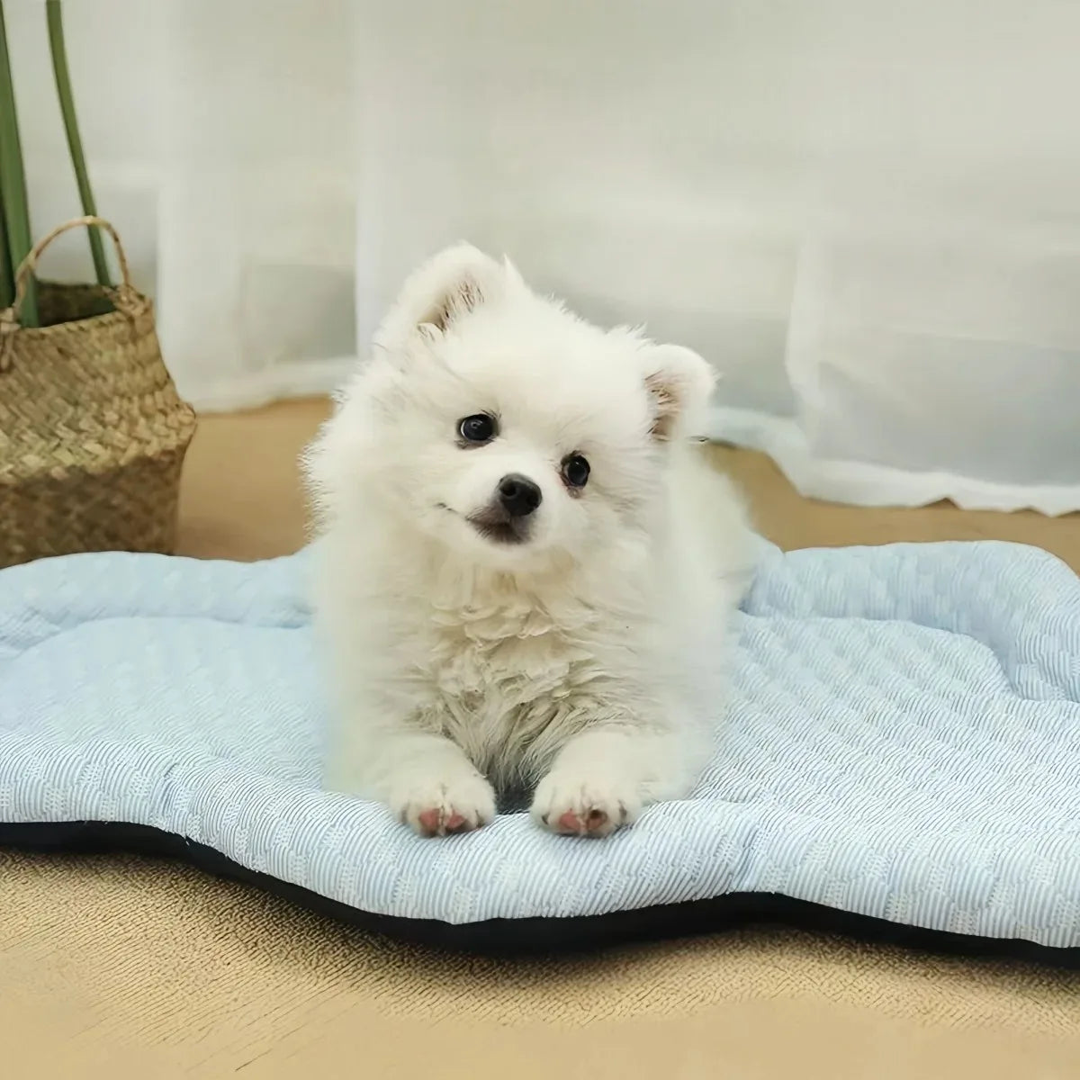 Summer Cooling Mat for Small Dogs – Indoor Kennel & Sofa Pet Bed Cushion