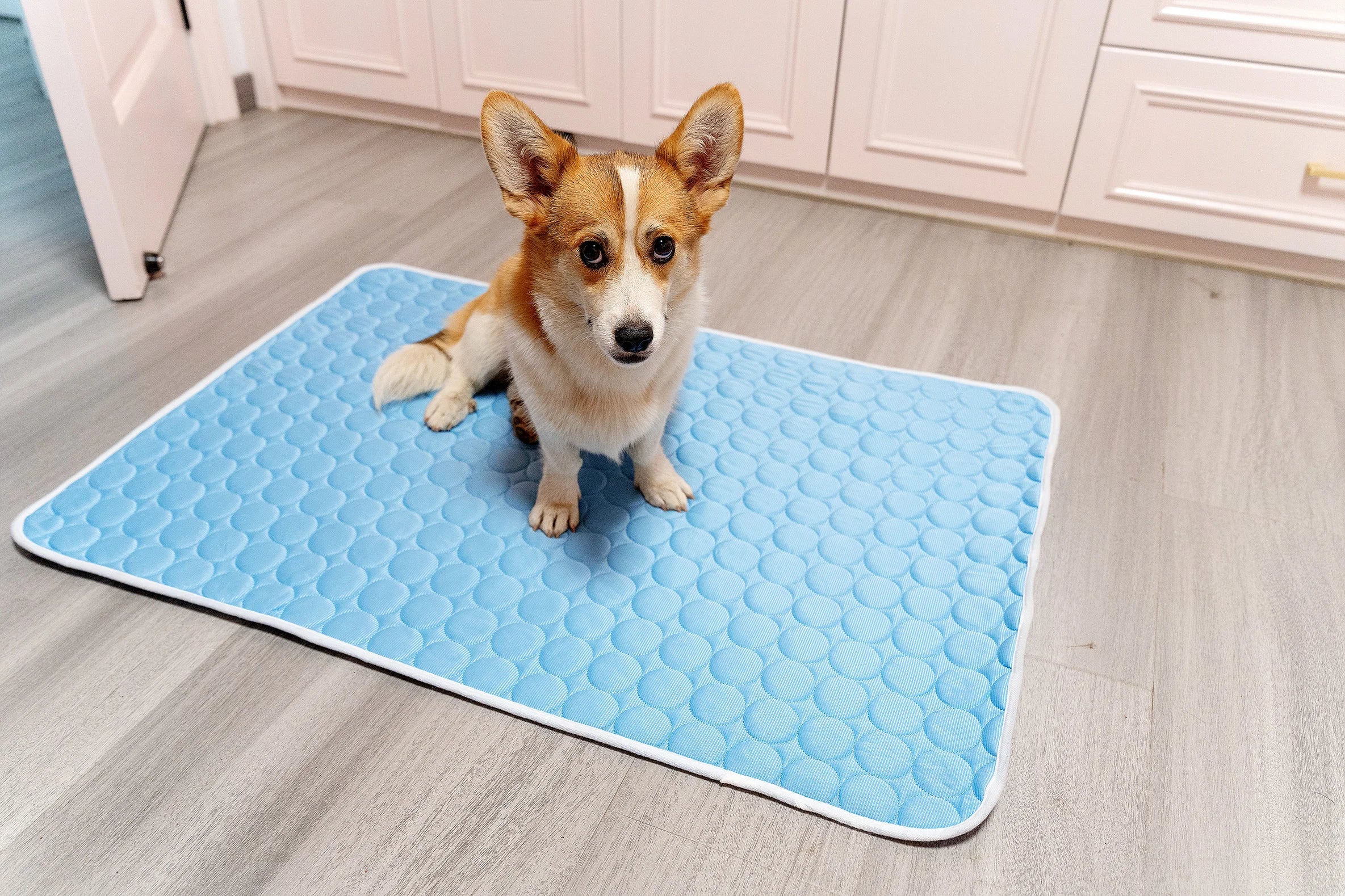 Cooling Dog Mat – Breathable Summer Pet Bed Blanket for Small to Large Dogs