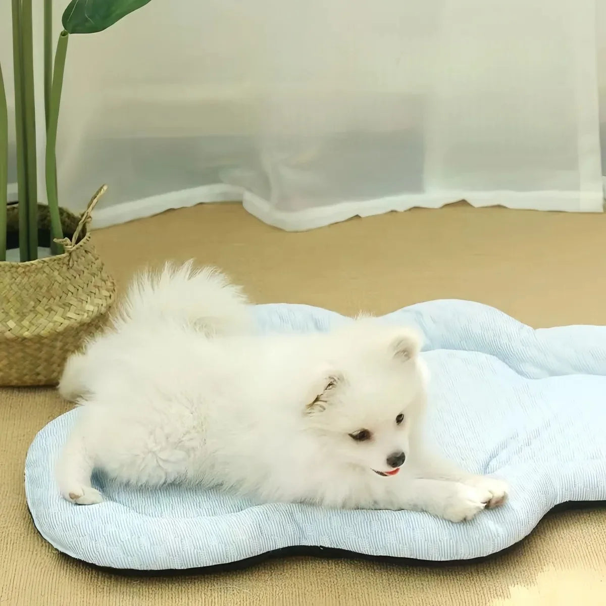 Summer Cooling Mat for Small Dogs – Indoor Kennel & Sofa Pet Bed Cushion