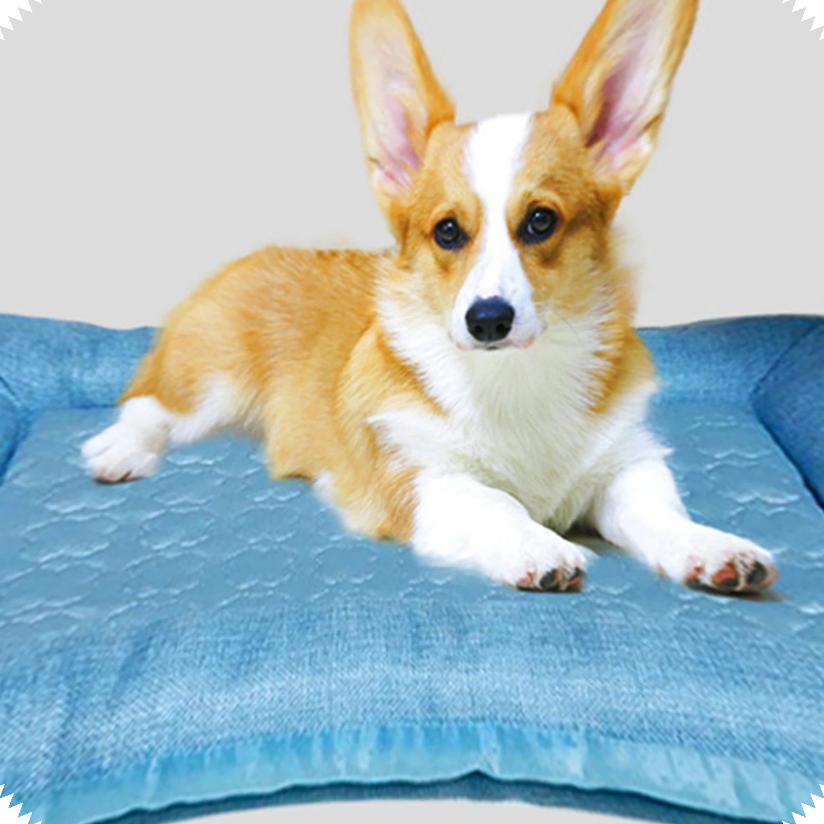 Breathable Pet Cooling Mat – Washable Self-Cooling Pad for Dogs & Cats