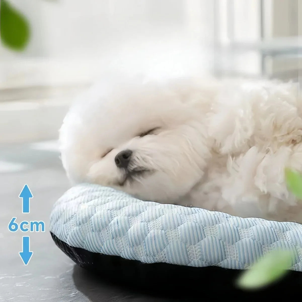 Summer Cooling Mat for Small Dogs – Indoor Kennel & Sofa Pet Bed Cushion