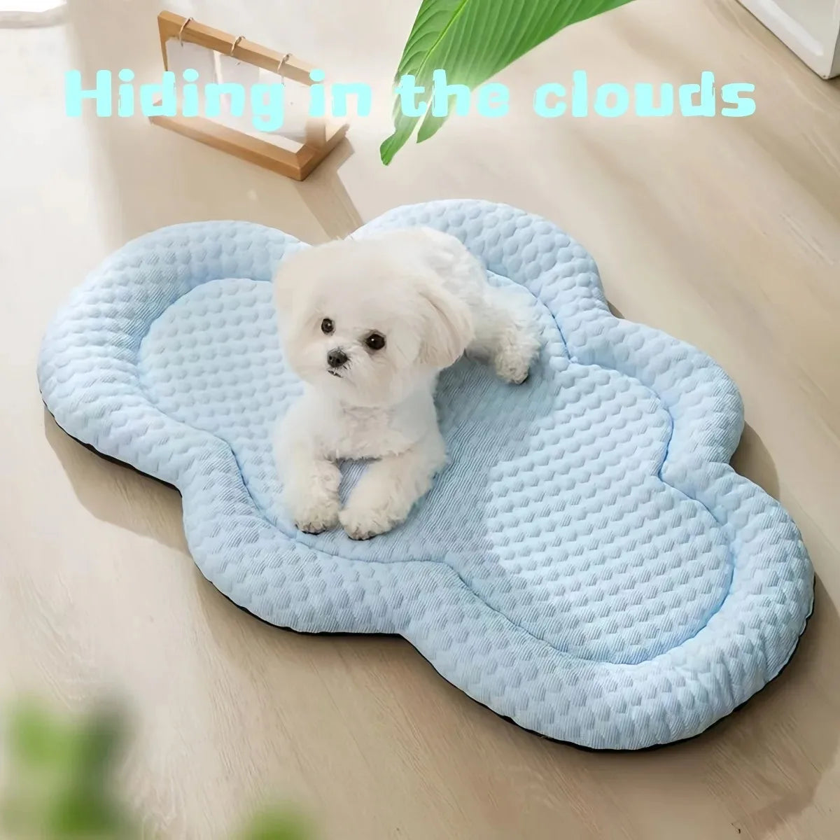 Summer Cooling Mat for Small Dogs – Indoor Kennel & Sofa Pet Bed Cushion